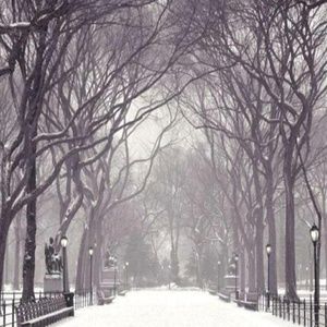 Meet your Posher, Mel